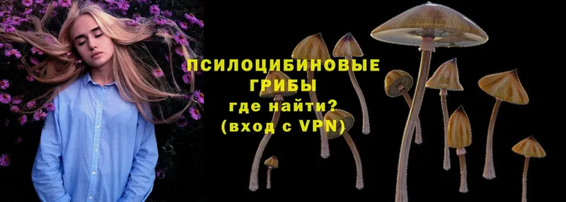 Псилоцибиновые грибы Magic Shrooms  площадка наркотические препараты  Бавлы  omg вход 